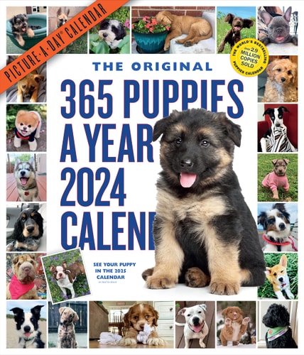 365 Puppies-A-Year Picture-A-Day Wall Calendar 2024: Absolutely Spilling Over With Puppies — Workman Calendars