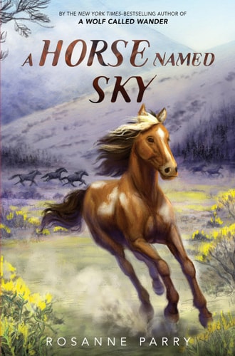 A Horse Named Sky — Rosanne Parry