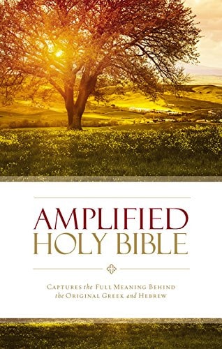 Amplified Holy Bible Captures the Full Meaning Behind the Original Greek and Hebrew — Zondervan
