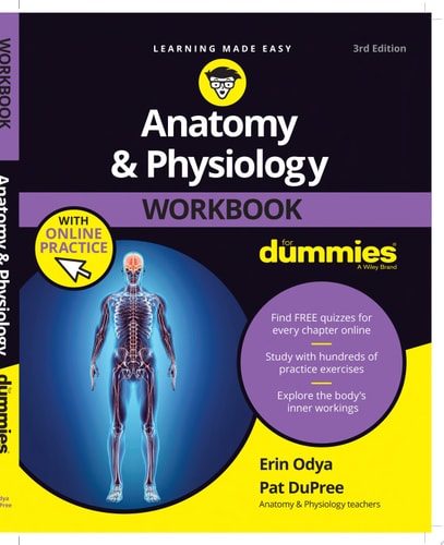 Anatomy & Physiology Workbook For Dummies with Online Practice — Erin Odya
