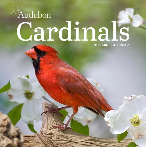 Audubon Cardinals Mini Wall Calendar 2025 — National Audubon Society