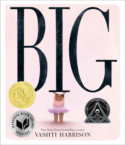 Big — Vashti Harrison