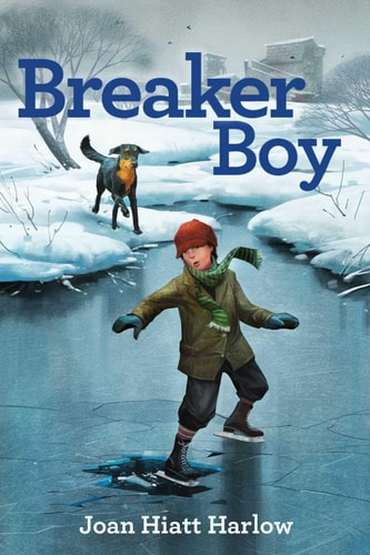 Breaker Boy — Joan Hiatt Harlow