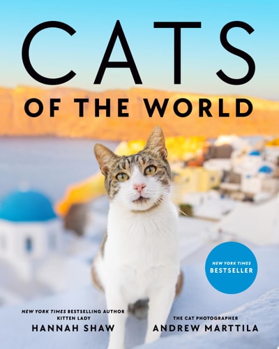 Cats of the World — Hannah Shaw