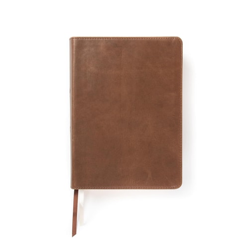 CSB She Reads Truth Bible, Brown Genuine Leather, Indexed — Raechel Myers