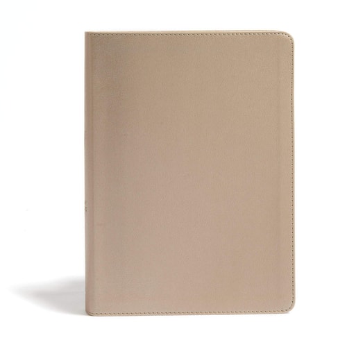 CSB She Reads Truth Bible, Champagne Gold Leathertouch, Indexed Notetaking Space, Devotionals, Reading Plans, Easy-To-Read Font — Raechel Myers