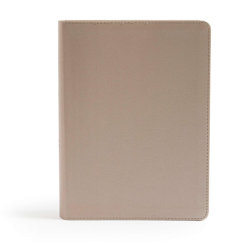CSB She Reads Truth Bible, Champagne Gold Leathertouch Notetaking Space, Devotionals, Reading Plans, Easy-To-Read Font — Raechel Myers