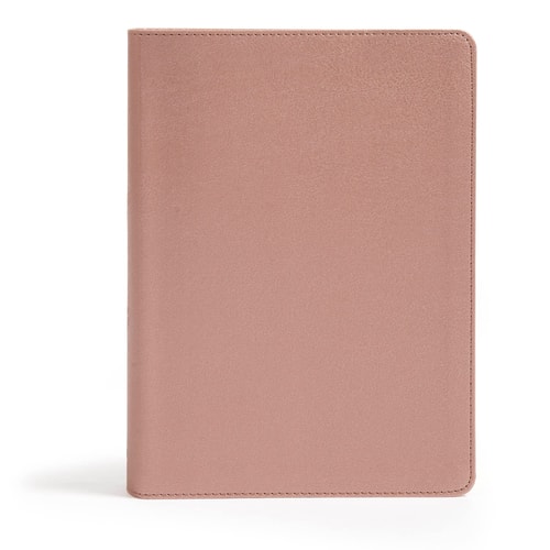 CSB She Reads Truth Bible, Rose Gold LeatherTouch, Indexed — Raechel Myers