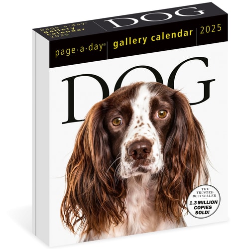 Dog Page-A-Day® Gallery Calendar 2025: An Elegant Canine Celebration — Workman Calendars