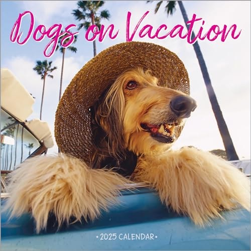 Dogs on Vacation Wall Calendar 2025 — Workman Calendars