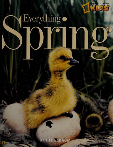 Everything Spring — Jill Esbaum