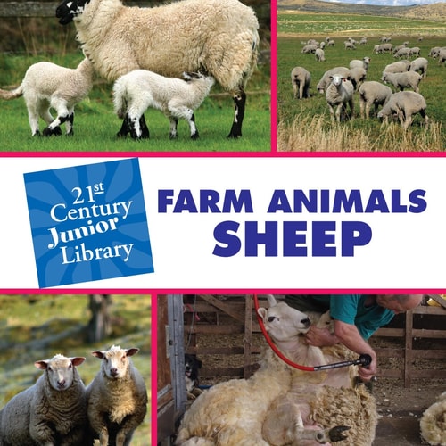 Farm Animals: Sheep — Cecilia Minden