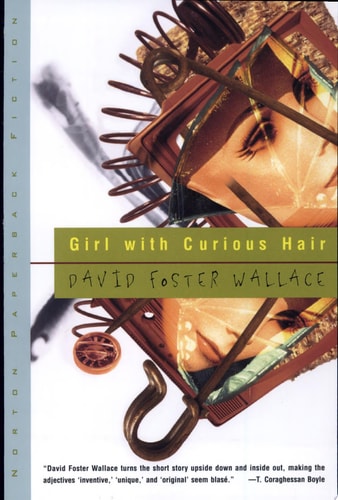 Girl with Curious Hair — David Foster Wallace