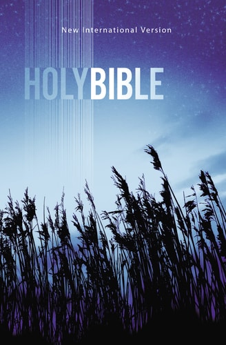 Holybible — Zondervan