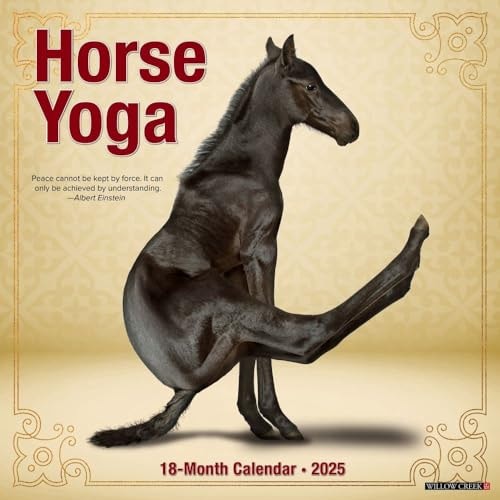 Horse Yoga 2025 12 X 12 Wall Calendar — Willow Creek Press