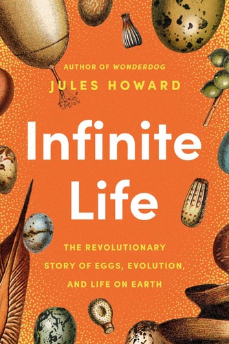 Infinite Life The Revolutionary Story of Eggs, Evolution, and Life on Earth — Jules Howard