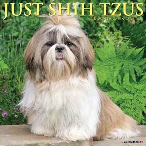 Just Shih Tzus 2025 12 X 12 Wall Calendar — Willow Creek Press