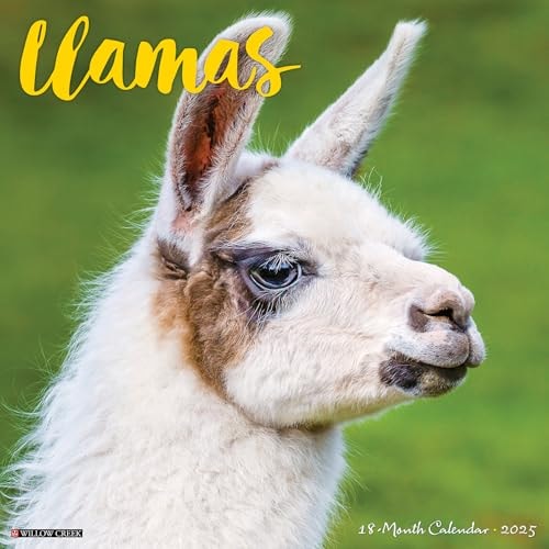 Llamas 2025 12 X 12 Wall Calendar — Willow Creek Press