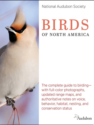 National Audubon Society Birds of North America — National Audubon Society