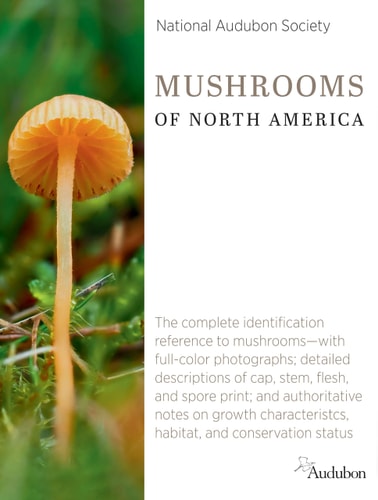 National Audubon Society Mushrooms of North America — National Audubon Society