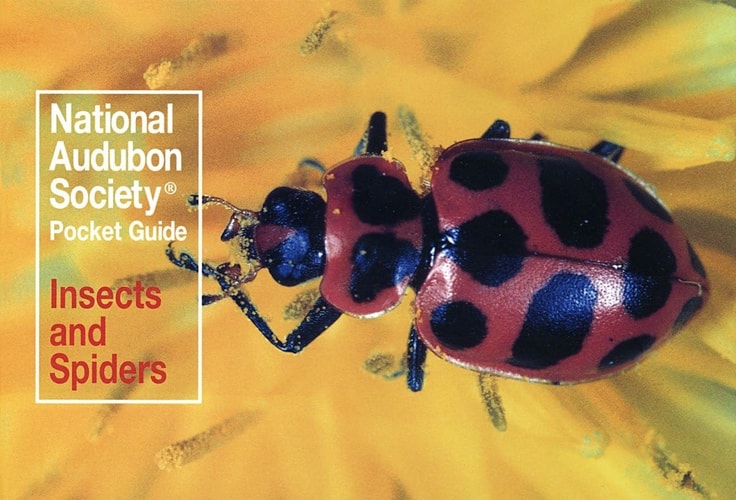 National Audubon Society Pocket Guide: Insects and Spiders — National Audubon Society