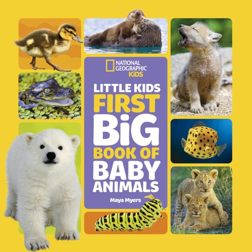 National Geographic Little Kids First Big Book of Baby Animals — Maya Myers