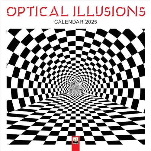 Optical Illusions Wall Calendar 2025 (Art Calendar) — Flame Tree Studio