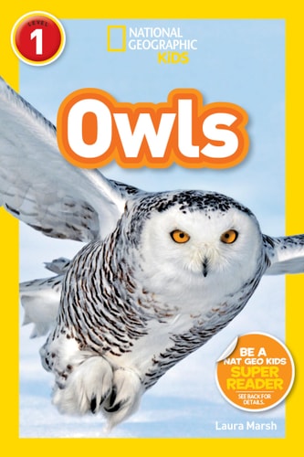 Owls — Laura Marsh