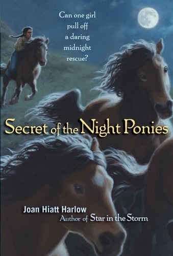 Secret of the Night Ponies — Joan Hiatt Harlow
