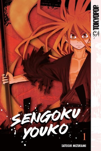 Sengoku Youko, Volume 1 — Satoshi Mizukami