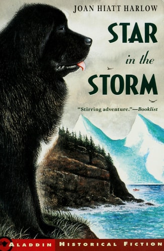 Star in the Storm — Joan Hiatt Harlow