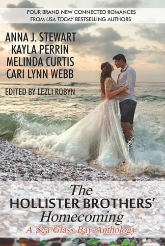 The Hollister Brothers’ Homecoming — Anna J Stewart