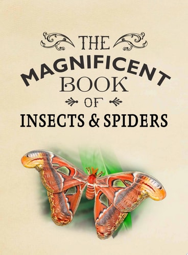 The Magnificent Book of Insects and Spiders (Animal Books for Kids, Natural History Books for Kids) — Weldon Owen