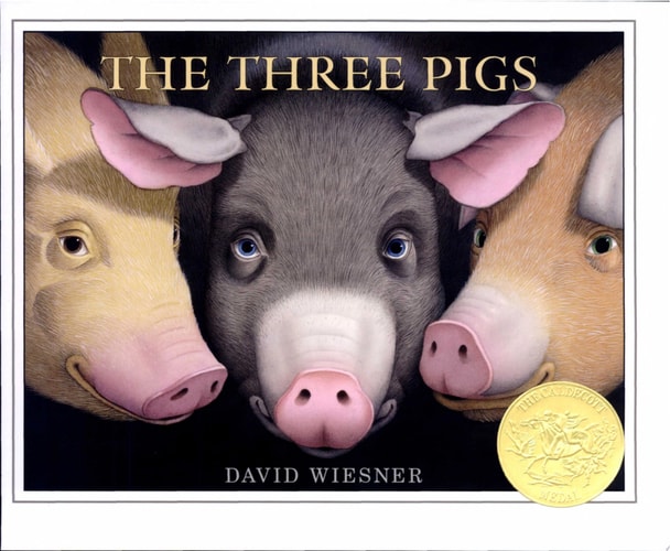 The Three Pigs — David Wiesner