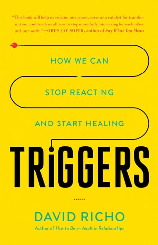 Triggers How We Can Stop Reacting and Start Healing — David Richo