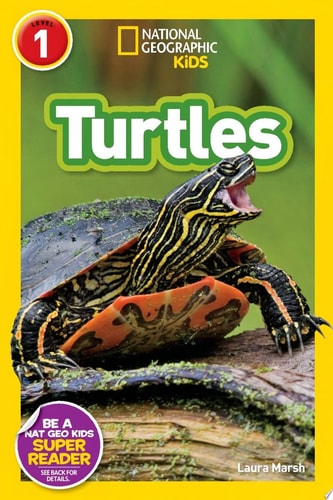 Turtles — Laura Marsh