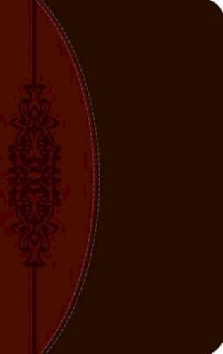 Wesley Study Bible-Ceb — Joel B. Green