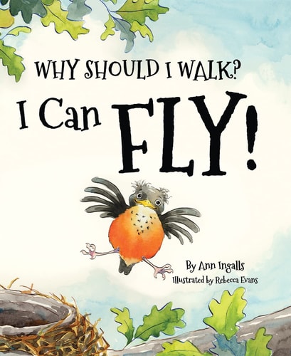 Why Should I Walk? I Can Fly! — Ann Ingalls