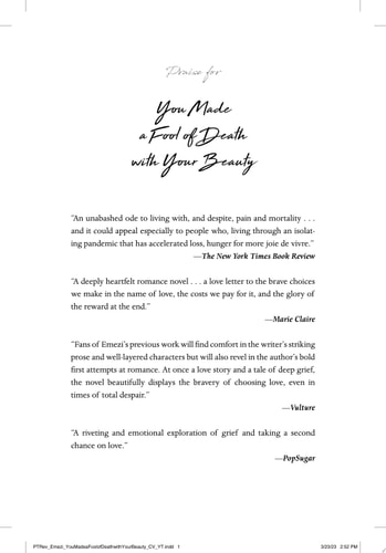 You Made a Fool of Death with Your Beauty A Novel — Akwaeke Emezi