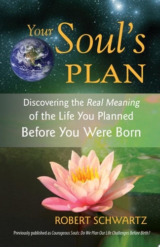 Your Soul’s Plan Discovering the Real Meaning of the Life You Planned Before You Were Born — Robert Schwartz
