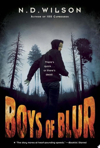 Boys of Blur — N. D. Wilson