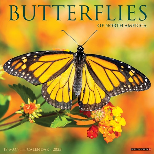 Butterflies 2023 Wall Calendar — Willow Creek Press