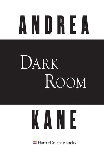 Dark Room — Andrea Kane