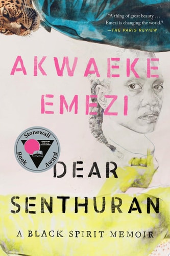 Dear Senthuran A Black Spirit Memoir — Akwaeke Emezi