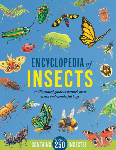 Encyclopedia of Insects An Illustrated Guide to Nature’s Most Weird and Wonderful Bugs – Contains Over 250 Insects! — Jules Howard