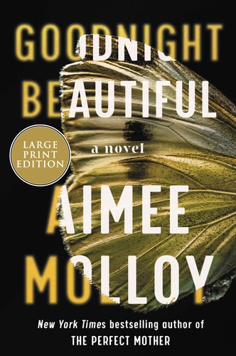 Goodnight Beautiful A Novel — Aimee Molloy