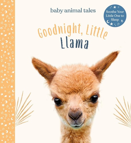 Goodnight, Little Llama — Amanda Wood