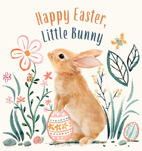 Happy Easter, Little Bunny A Board Book — Amanda Wood