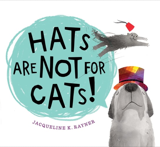 Hats Are Not for Cats! Board Book — Jacqueline K. Rayner