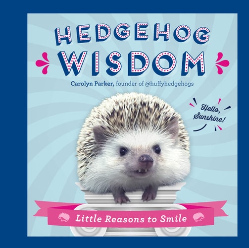 Hedgehog Wisdom Little Reasons to Smile — Carolyn Parker